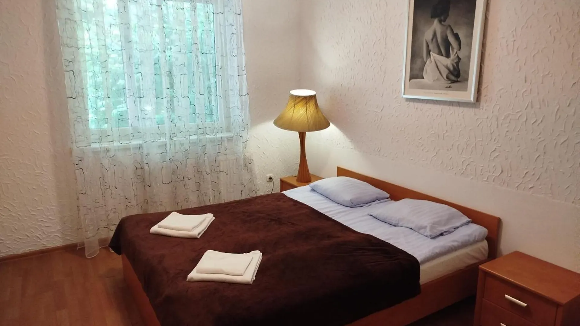 Apartament Z Dwiema Sypialniami I Aneksem Kuchennym カルパッチ ポーランド